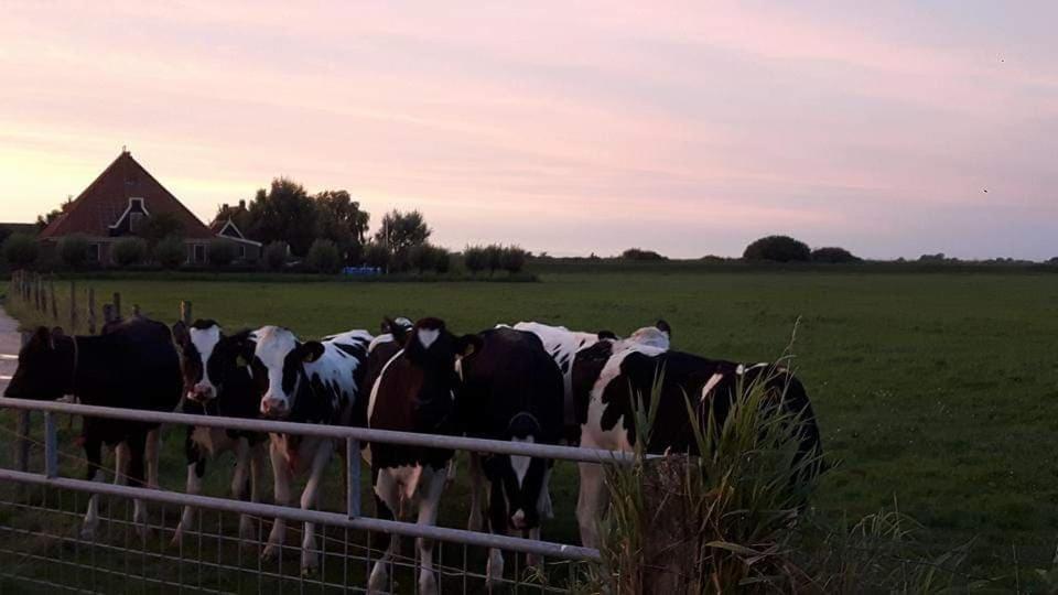B&B Beemsterblik Graft Eksteriør billede